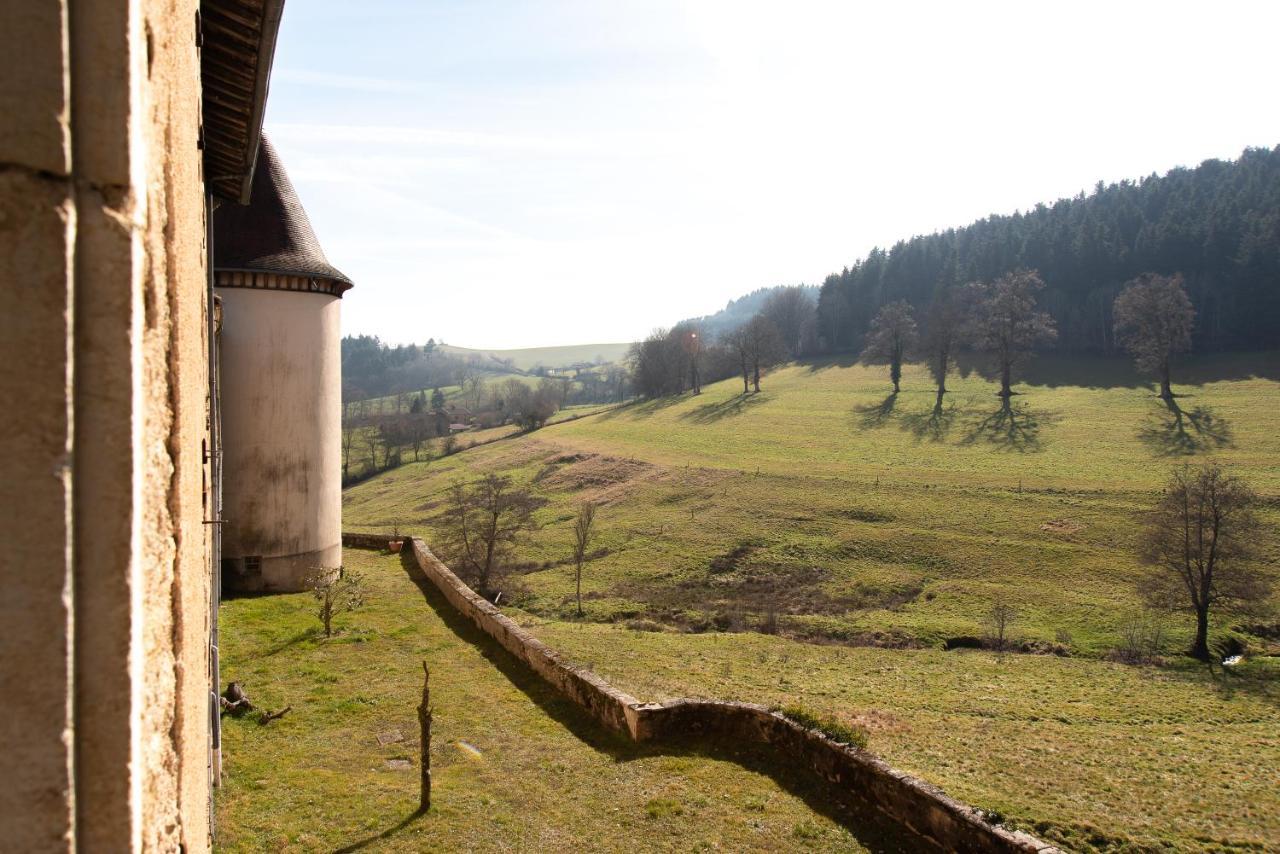 Chateau De Pramenoux Lamure-sur-Azergues المظهر الخارجي الصورة