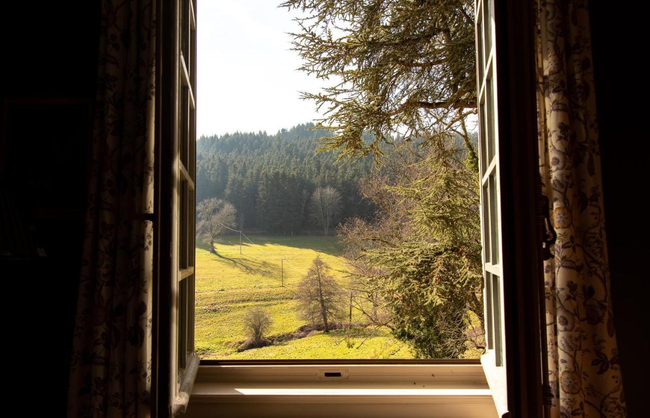 Chateau De Pramenoux Lamure-sur-Azergues المظهر الخارجي الصورة